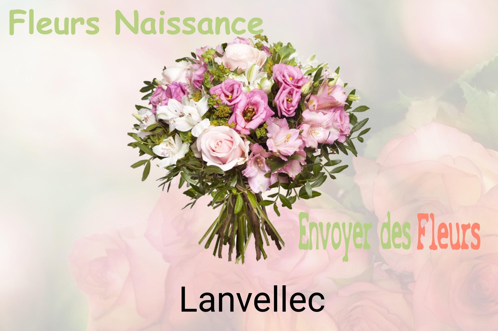 Bouquet de fleurs de naissance livré à Lanvellec